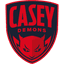 Casey Demons